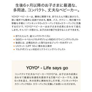 カラーパック単品 ベビーゼン ヨーヨー ベビー...の詳細画像3