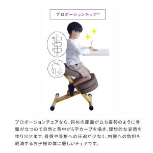 学習椅子 プロポーションチェア CH-N889...の詳細画像3