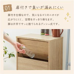 ゴミ箱 扉付き プッシュ式 45L おしゃれ ...の詳細画像4