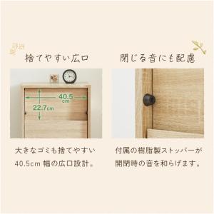 ゴミ箱 扉付き プッシュ式 45L おしゃれ ...の詳細画像5