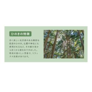 中居木工 日本製 折りたたみ すのこ ベッド ...の詳細画像5
