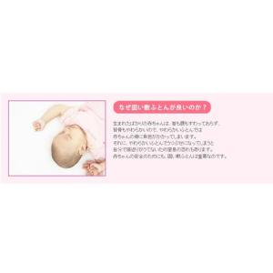 ベビー固綿敷ふとん(TTC生地)(代引き不可)の詳細画像3