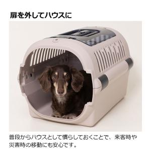 リッチェル ペット用 キャリー ケース コンテ...の詳細画像5
