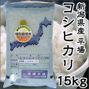 米 日本米 令和5年度産 新潟県産 コシヒカリ BG精米製法 無洗米 20kg ご注文をいただいてか...