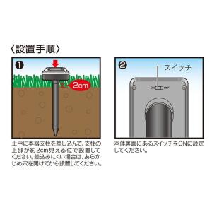 モグラ撃退器 ソーラー式 2本入 埋め込むだけ...の詳細画像3