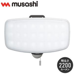 LEDセンサーライト ムサシ RITEX ライテックス LED-AC1027