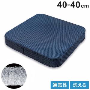 トゥルースリーパー（True Sleeper） 低反発座布団 FN005940 【正規品