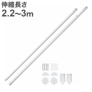 積水樹脂 セキスイ 壁面用 取付ものほし 伸縮長...の商品画像