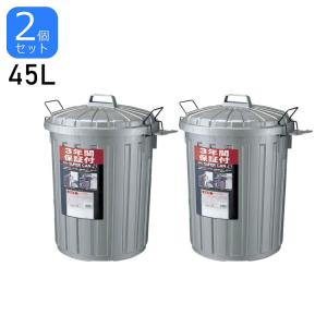 岩崎工業 ポリバケツ スーパーカン (L) 45L ガンメタリック [ごみ箱