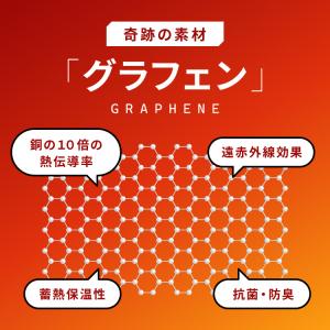 カクシング グラフェン枕パッド 2枚組 フラン...の詳細画像5