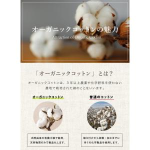 ごろ寝マット 洗える 80×195cm セミシ...の詳細画像5