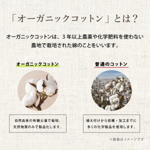 抱き枕 S字 綿100% オーガニックコットン...の詳細画像5