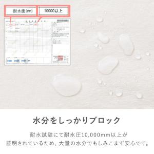 ソファーパッド 3人掛け パイル 洗える 防臭...の詳細画像4