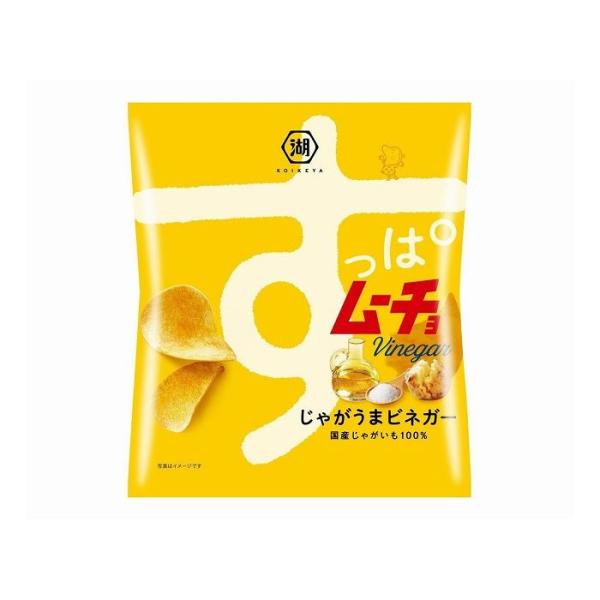12個セット 湖池屋 すっぱムーチョチップス さっぱりビネガー 55g x12 まとめ売り セット販...
