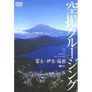 富士・伊豆・箱根・空撮クルージング シンフォレスト SDA53｜recommendo