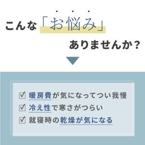蓄熱式湯たんぽ ぬくぬく ネコ 充電式 電気湯...の詳細画像5