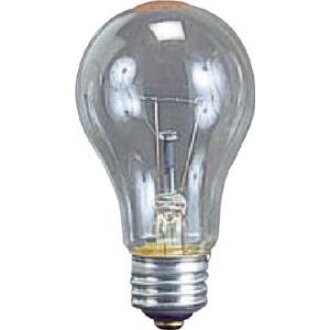 ハタヤ 耐振電球100Ｗ ＩＬＩ、ＫＬ型用 TD-100 作業灯・照明用品・作業灯