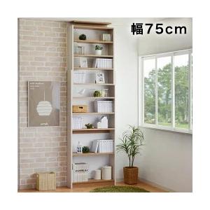 dinos たっぷり収納！スチールラック スタンド式 CD用 幅120cm