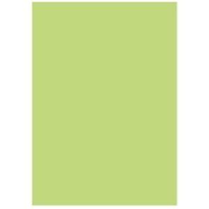 北越製紙 カラーペーパー/リサイクルコピー用紙 〔A5 500枚×10冊〕 日本製 グリーン(緑) ...