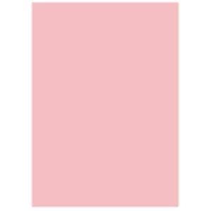 北越製紙 カラーペーパー/リサイクルコピー用紙 〔B4 500枚×5冊〕 日本製 ピンク 代引不可