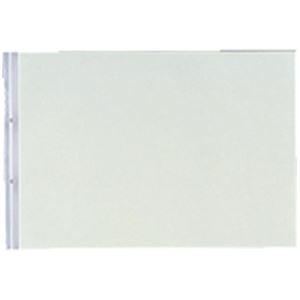 （業務用10セット）LIHITLAB PPクリヤーポケット クリアポケット N-2017 B4E 2...