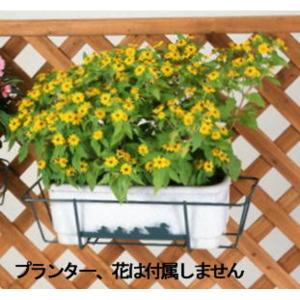 ハンギングバスケット 〔ラテス用〕 スチールワ...の詳細画像3