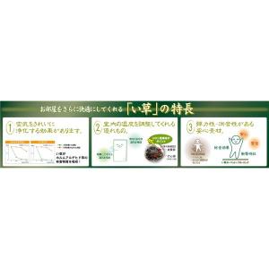 国産 い草ラグマット/絨毯 〔261×352c...の詳細画像3