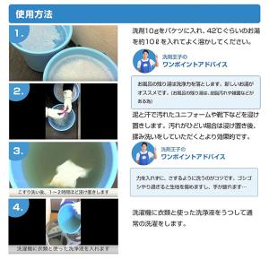 泥スッキリ 303 1.3kg 洗剤 泥汚れ洗...の詳細画像5