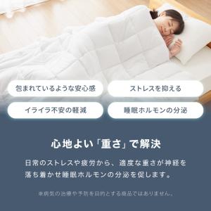 加重掛け布団 フランネルカバーセット シングル...の詳細画像4