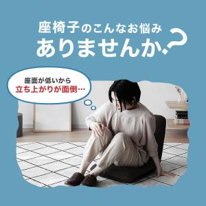 高座椅子 肘付き 5段階 リクライニング 北欧...の詳細画像2