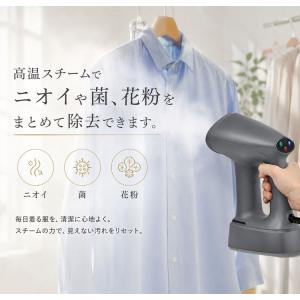 吸着スチームアイロン スチームアイロン ハンガ...の詳細画像3