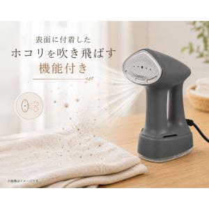 吸着スチームアイロン スチームアイロン ハンガ...の詳細画像5