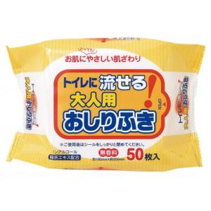 株式会社ペーパーテック トイレに流せる大人用おしりふき 50枚 袋 N031 代引不可