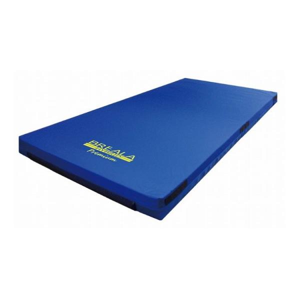 グローバル産業 ブレイラ プレミアム ケアマットレス 830R レギュラー 83cm幅 BR-PCM...