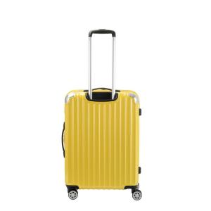 キャリーバッグ Mサイズ 5日間 61L モー...の詳細画像5