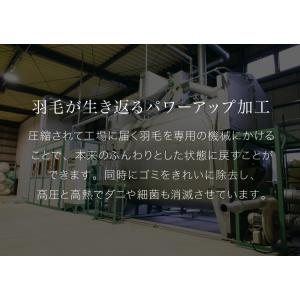 羽毛布団 エクセルゴールドラベル 90% 充填...の詳細画像4
