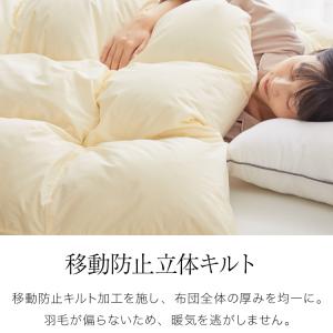 羽毛布団 エクセルゴールドラベル 90% 充填...の詳細画像5