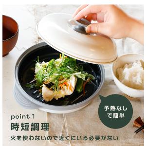シービージャパン COPAN レンジグリル 電...の詳細画像3