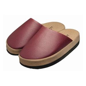 ボニック 本体 ボディケアマシーン ダイエット スタイルアップ 毎日5分