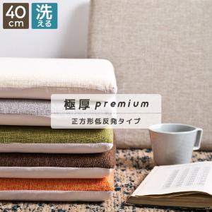 トゥルースリーパー（True Sleeper） 低反発座布団 ショップジャパン