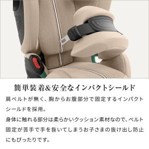 レビュー報告で専用保護マット パラスG3 正規...の詳細画像1