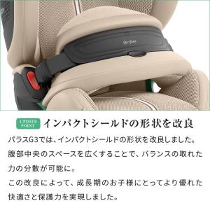 レビュー報告で専用保護マット パラスG3 正規...の詳細画像2