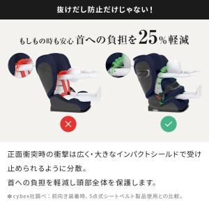 レビュー報告で専用保護マット パラスG3 正規...の詳細画像3