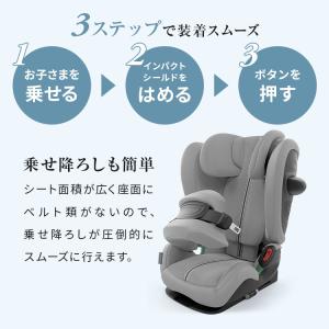レビュー報告で専用保護マット パラスG3 正規...の詳細画像4