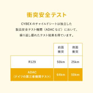 正規品 メーカー3年保証 サイベックス チャイ...の詳細画像3