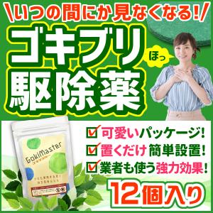 ゴキブリ駆除 業務用 ゴキブリ対策 プロが使う ゴキマスター 12個入り｜recy-clean