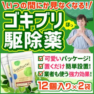 ゴキブリ駆除 業務用 ゴキブリ対策 プロが使う ゴキマスター 12個×2袋セット｜recy-clean