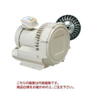 日立産機システム　ボルテックスブロワ　VB-007DN　三相200V｜recycle-hisasyo