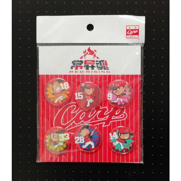 広島東洋カープ 常昇魂 REDRISING 缶バッジセット 2015 Carp バッジ  PR