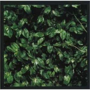 ボーナスストアプラス 10％対象 廃盤 CD エレファントカシマシ ココロに花を 453251830...